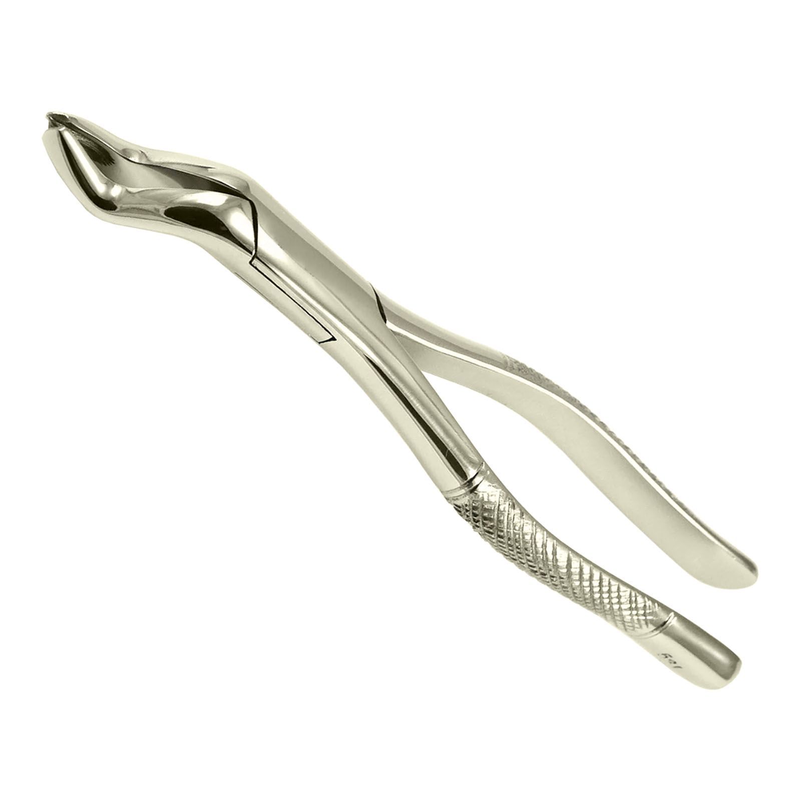 Picture of Fig 53L Upper Molar Extraction Forceps | Jamor Dental Surgical Tooth Extracting Pliers